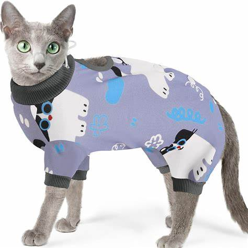 Gato con prenda posoperatoria